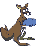 Kangaroos graphics