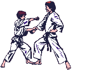 Karate graphics