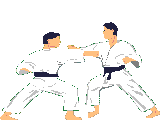 Karate graphics