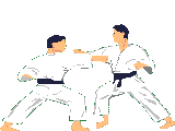 Karate graphics