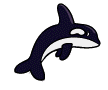 Killer whale graphics