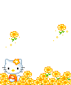 Kitty graphics