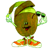 Kiwi graphics