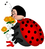 Ladybug