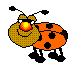 Ladybug graphics