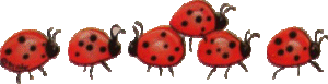 Ladybug graphics