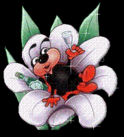 Ladybug graphics