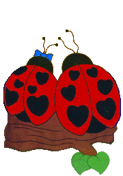 Ladybug graphics