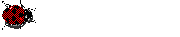Ladybug graphics