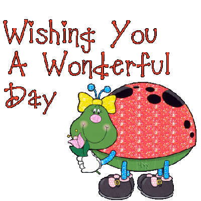 Ladybug graphics