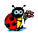 Ladybug graphics