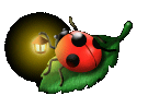 Ladybug graphics