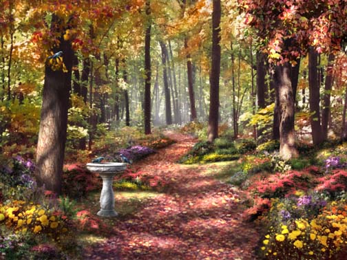 Landscapes graphics