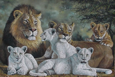 Lions