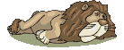 Lions graphics