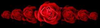 Love graphics