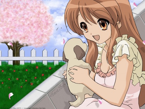 Manga graphics