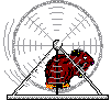 Marmot graphics