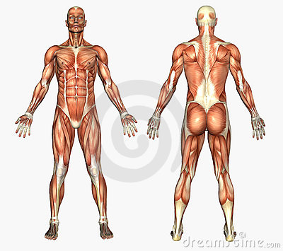 Medical medicine graphics