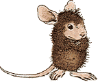 Mice graphics