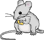 Mice graphics