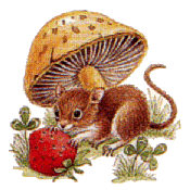 Mice graphics