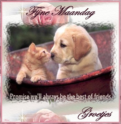 Monday graphics