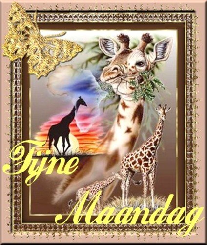 Monday graphics