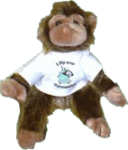 Monkeys graphics