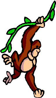 Monkeys graphics