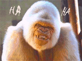 Monkeys graphics