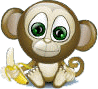 Monkeys graphics