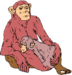 Monkeys graphics