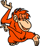 Monkeys graphics
