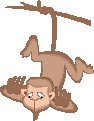 Monkeys graphics