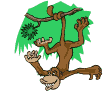 Monkeys graphics