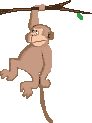 Monkeys graphics