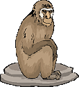 Monkeys graphics