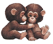 Monkeys graphics