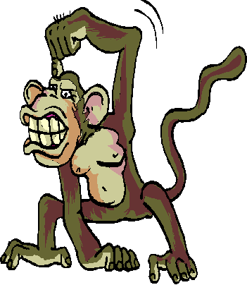 Monkeys graphics