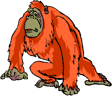 Monkeys graphics