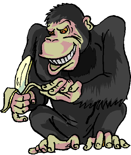 Monkeys graphics