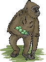 Monkeys graphics