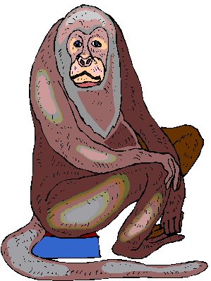 Monkeys graphics