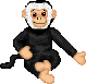 Monkeys graphics