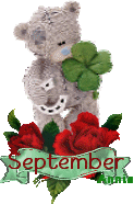 Months graphics