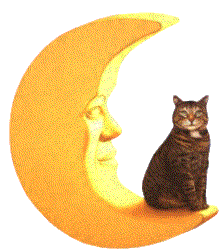 Moon graphics