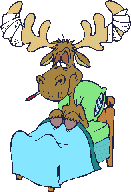 Moose graphics
