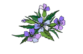 Mothers day graphics
