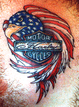 Motorcycles graphics